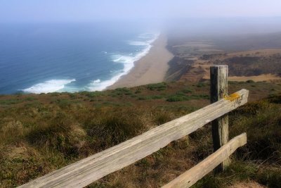 Along Point Reyes