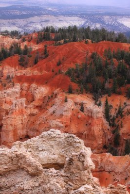 First Glimpse of Bryce
