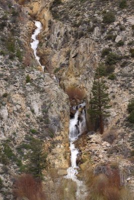 Spring WaterFall