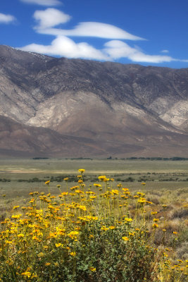 Overlooking Owens Valley