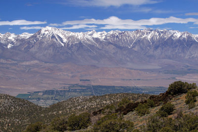 Overlooking Bishop