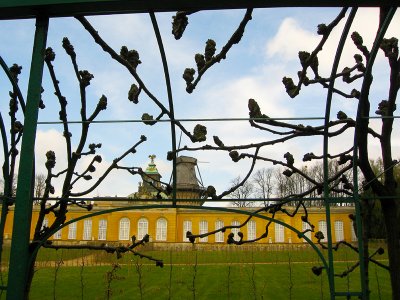 Through the Arbor