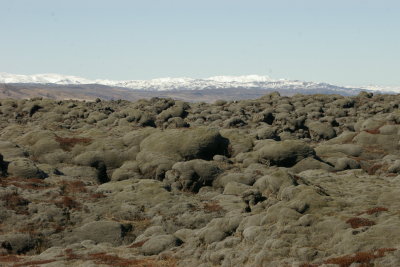 Cooled lava landscape