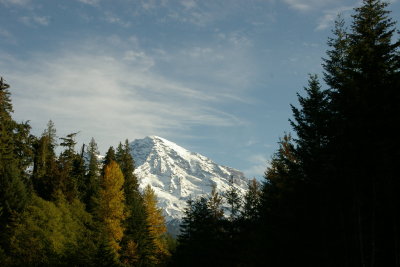 Summer View