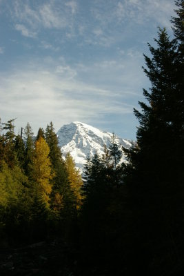 Mt Rainier in the Fall