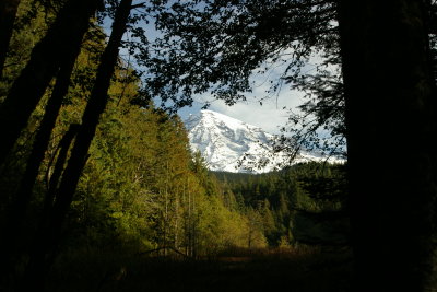 From the Trail of Shadows
