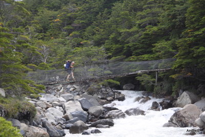 near Italian camp in Frances valley