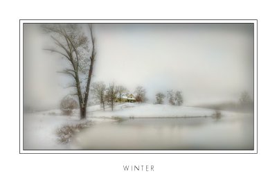 Winter.jpg