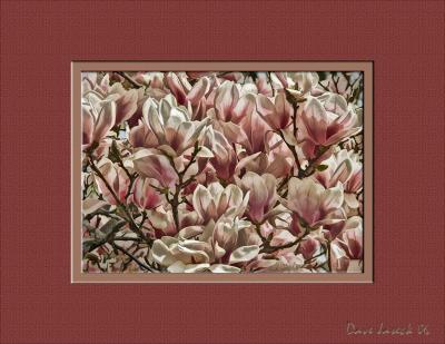 Painted Magnolias with 11X8.jpg