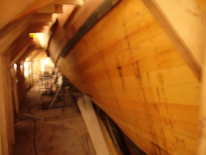 Getting an idea of the ships size... looking back... I was so stunned, I blurred the photo.