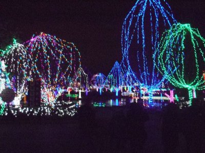 Joan and I take three of our kids (and spouses) to the Columbus Zoo Light Show.