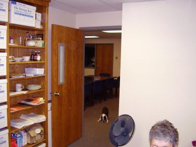 Gus Exploring the Conference Room.JPG