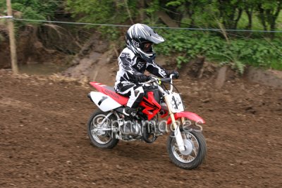 g3/80/629180/3/96718158.tNNJPU1J.jpg