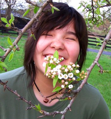 Pear Blossoms birth Spring Haiku