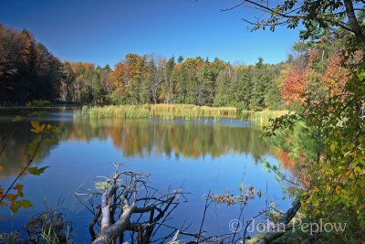 IMG_5796_edited-1.jpg