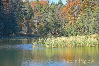 IMG_5798_edited-1.jpg