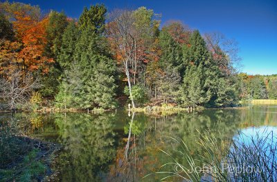 IMG_5807_edited-1.jpg