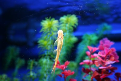 IMG_2138.JPG