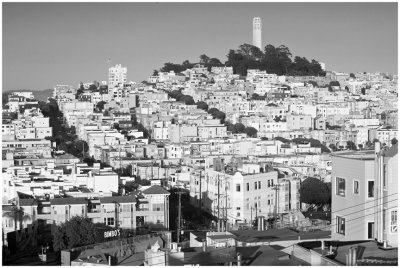 28-Telegraph Hill.jpg