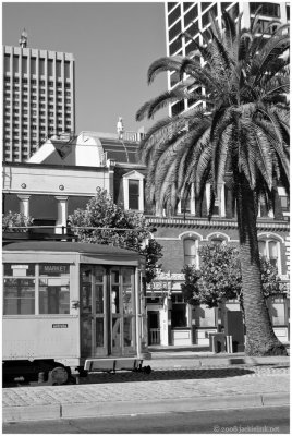 Collection at United Capital of SF