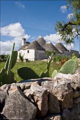 Trullo cactus and dry-stone wall.jpg