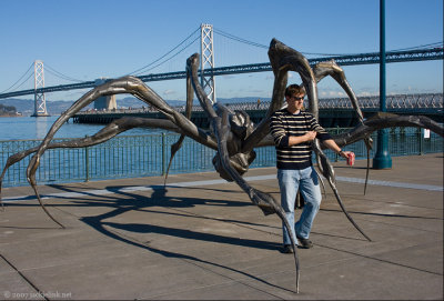 Spider on Embarcadero.jpg