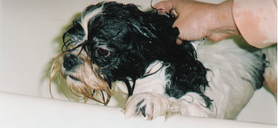 Scan0004_bath.jpg