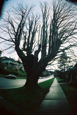 FH000023.jpg