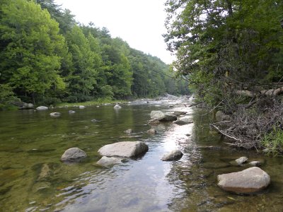 Wilson Creek