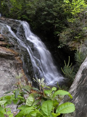 Upper Cascade Falls
