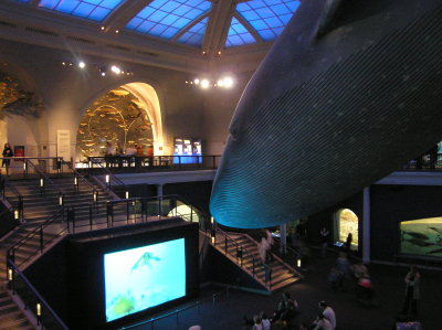 A Whale of a Show