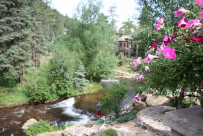 View from the Patio