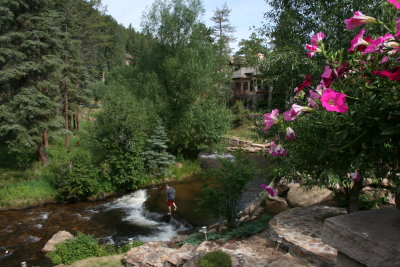 View from the Patio