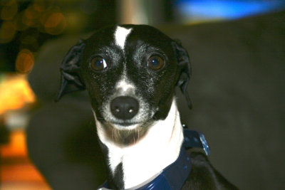 Max