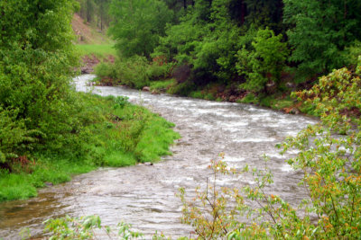 Spearfish Creek Black Hills SD