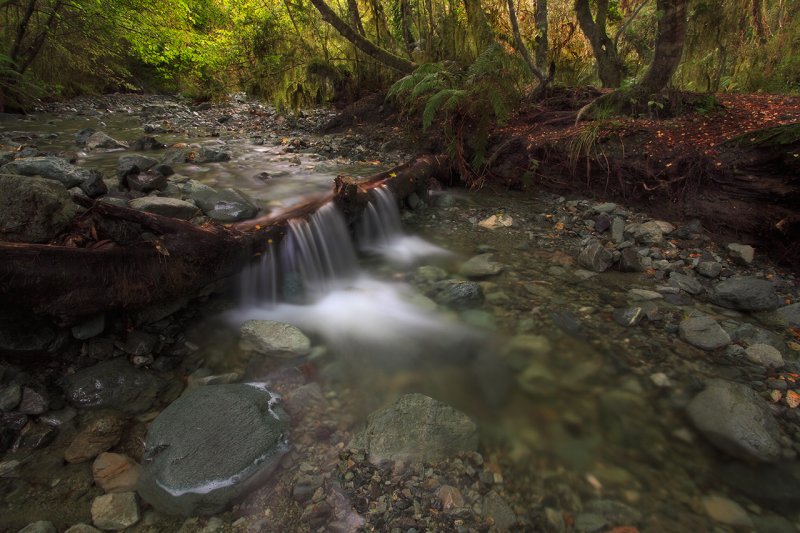 Little Tree Cascade