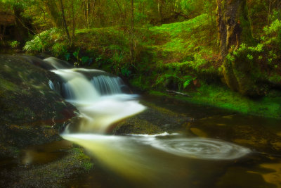 Morning at Boyd Creek