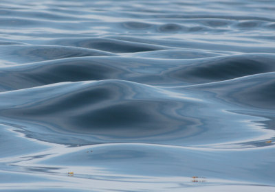 Glassy