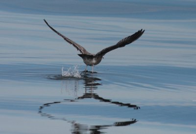 Lifting off II