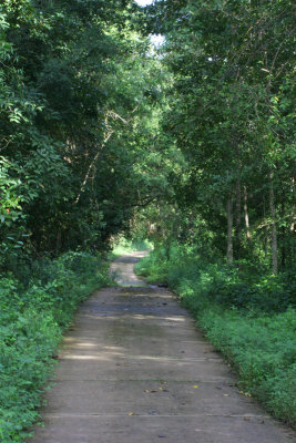 Cat Tien National Park road