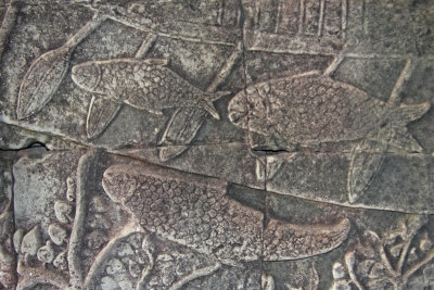 Bas Reliefs on Temples: Fish