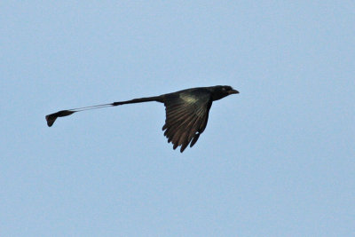 g3/80/793480/3/120291077.OFdc9bvB.jpg