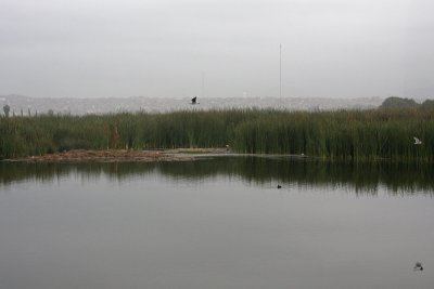 Pond at country club