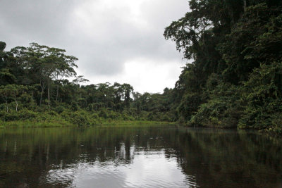 A dark day on an oxbow lake