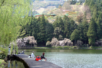 Spring at the lake