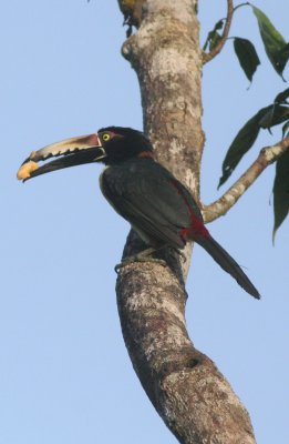 g3/80/793480/3/94649581.qAgynkPk.jpg