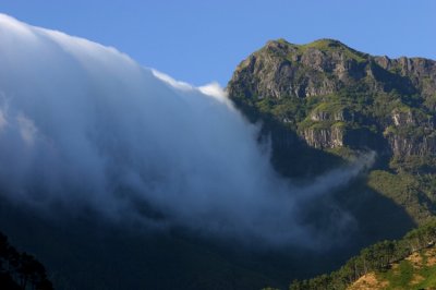 Niagara Falls?