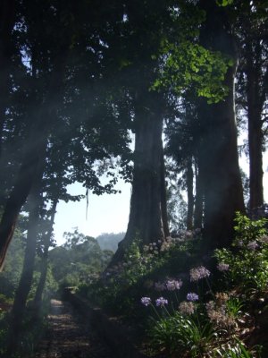 Quinta Jardim de Serra