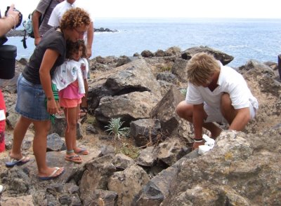 Day-trip to the Desertas - looking at the young chick of a Bulwer's Petrel