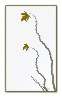 UniDirection